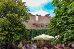 Affenberg_05