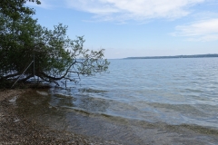 DSC01507