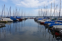 DSC01519