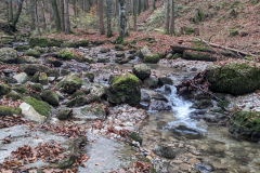 PXL_20221028_084826896.MP_