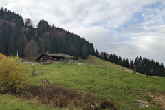 PXL_20221028_090402425.MP_