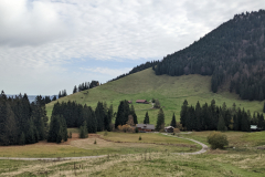 PXL_20221028_091927378