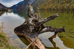 PXL_20211019_122304824