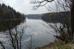 PXL_20220429_091935622.MP_