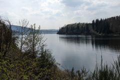 PXL_20220429_092131521.MP_