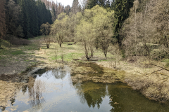 PXL_20220429_094112990.MP_