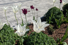 PXL_20220514_083711271