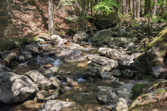 PXL_20220514_091725193