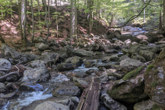 PXL_20220514_093044921