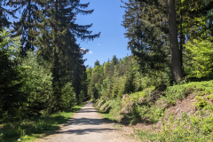 PXL_20220514_103743448