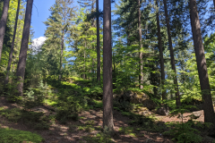 PXL_20220514_104442751