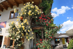 PXL_20220527_122242634.PANO_