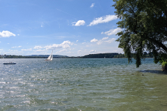 PXL_20220527_132235442