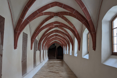 PXL_20220529_084423958