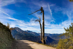 PXL_20211020_112148568.PANO_