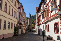 PXL_20220420_114320800