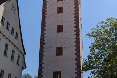 PXL_20220420_115338421