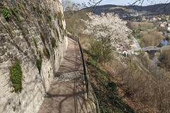 PXL_20220403_115510849