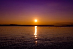 Insel_Mainau_19