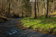 PXL_20210411_114447701