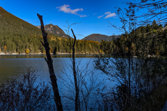 PXL_20211023_102326405