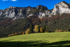 PXL_20211023_113555837