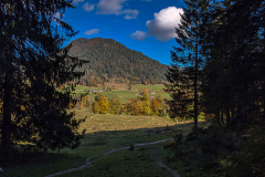 PXL_20211023_114211542