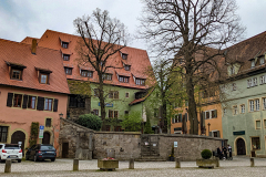 PXL_20210501_100322488