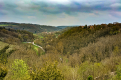 PXL_20210501_101521997