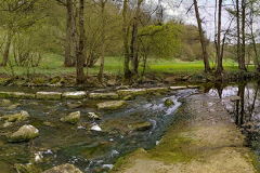 PXL_20210501_130743448.PANO_