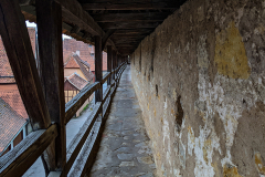 PXL_20210501_141031414