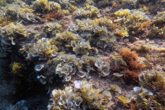 DCIM\100GOPRO\GOPR0826.JPG